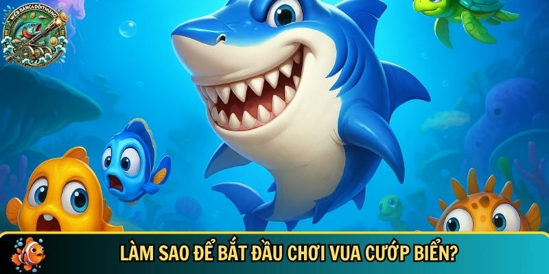 Quy trình chi tiết bắt đầu chơi được vua cướp biển