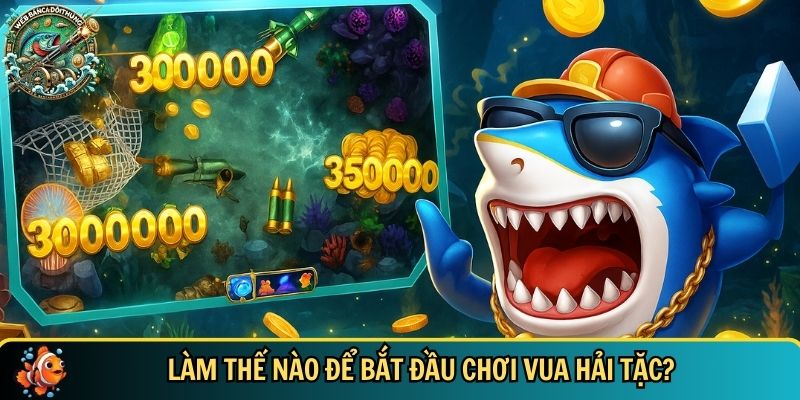 Hướng dẫn cách để bắt đầu chơi vua hải tắc
