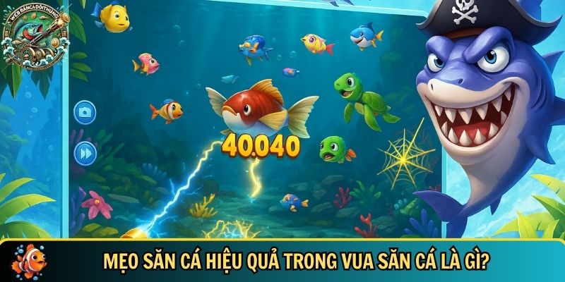 Tìm hiểu các mẹo săn cá hiệu quả trong vua săn cá